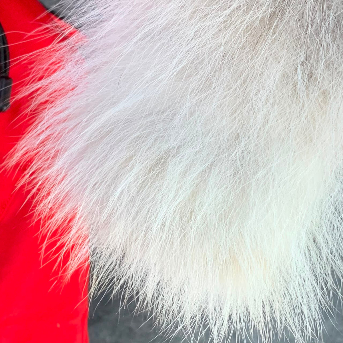 Canada Goose Expedition Parka Red